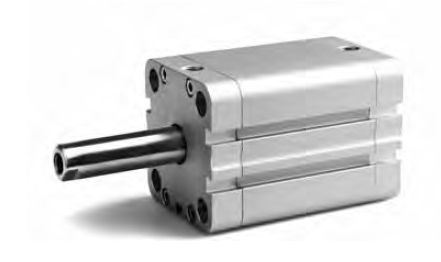 Vérin pneumatique - PSEM - ARTEC SRL - simple effet / en acier inoxydable / ISO