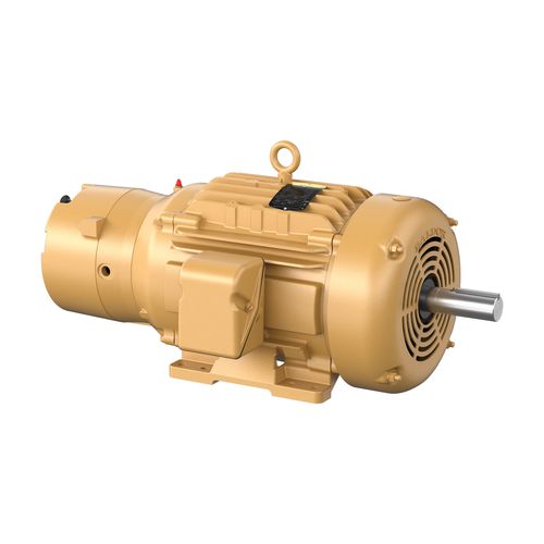Moteur-frein AC - EBM-TY series - Baldor Electric Company - triphasé / 220 V / TEFC