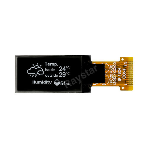 Module d'affichage LCD - REX064128A - Raystar Optronics, Inc. - TFT / OLED / couleur