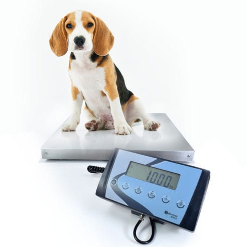 Balance à plate-forme - AIS / AIS-W - GIROPES - avec afficheur LCD / avec indicateur séparé / IP54