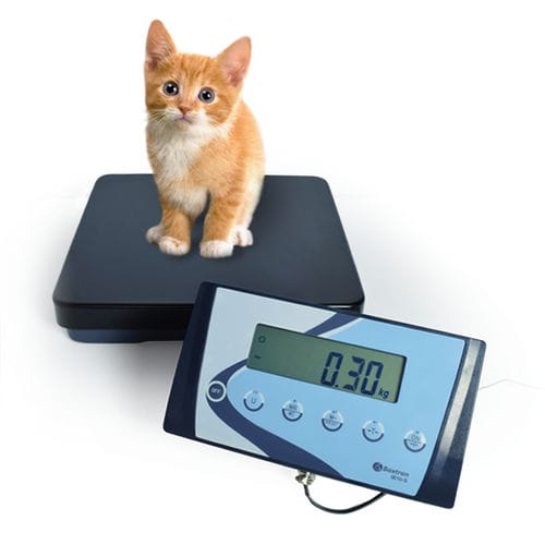 Balance à plate-forme - APS - GIROPES - avec afficheur LCD / avec indicateur séparé / IP54