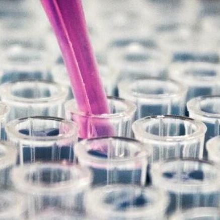 Adjuvant pour l'industrie pharmaceutique - AW Celite® NF - Imerys Ceramics  - de diatomées / à haute pureté