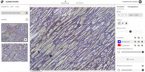 Logiciel d'analyse d'image - Clemex Technologies inc. - de création / pour microscopie / avec analyse d'images par IA