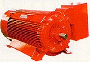 Moteur de moyenne tension - EMG-EMCO - asynchrone / AC