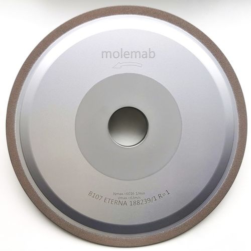 Meule de rectification - ETERNA - MOLEMAB - plate
