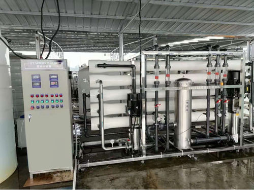 Unité de purification d'eau ultrapure de process - RO-EDI(30000L) - Shine Dew Water Equipment Co.,Ltd. - par osmose inverse