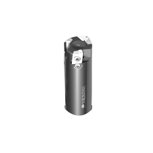 Fraise à plaquettes indexables - FMP025CS25-BE12-03 - Beijing Worldia Diamond Tools Co., Ltd - à surfacer / d'épaulement / PCD