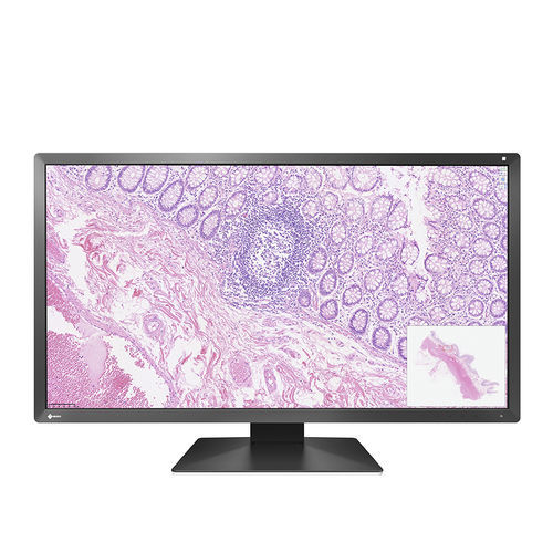 Moniteur LCD - PX3150 - EIZO NANAO - rétroéclairage à LED / pour affichage / pour le médical
