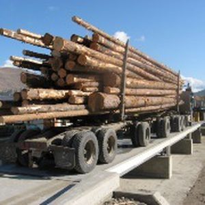 Pont-bascule pour camion - 7563 - METTLER TOLEDO - pour véhicules / en acier / robuste