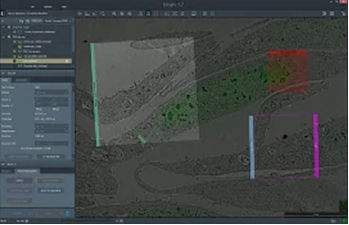Logiciel d'automatisation - Maps 3  - THERMO FISHER SCIENTIFIC - MATERIALS SCIENCE - d'acquisition de données / de collecte de données / d'analyse