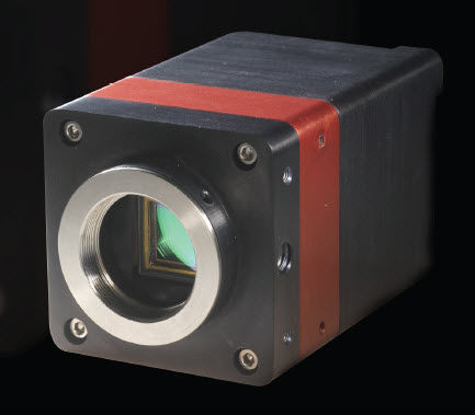 Caméra de surveillance - 320 x 256 pix | OWL 1.7-CL-320 - Raptor Photonics - pour vision nocturne / infrarouge / haute sensibilité