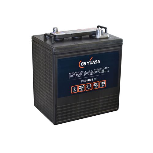 Batterie AGM - DCB145-6(DT) - GS Yuasa - de bloc / 6 V / pour véhicule électrique