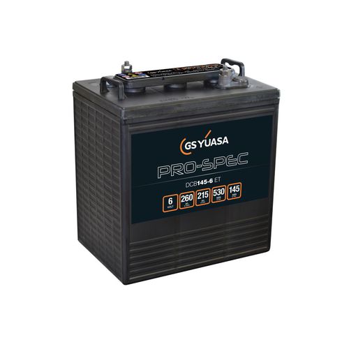 Batterie AGM - DCB145-6(ET) - GS Yuasa - de bloc / 6 V / longue durée de vie