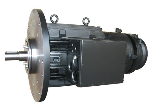 Moteur synchrone - Winkelmann Elektromotoren GmbH & Co. KG - à courant continu / basse tension