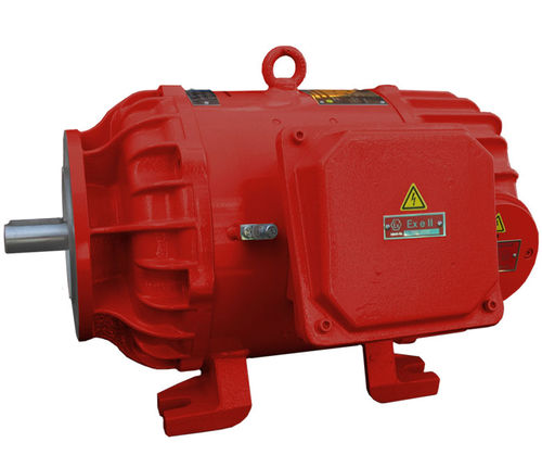 Moteur synchrone - 3G, IC 410 - Winkelmann Elektromotoren GmbH & Co. KG - à courant continu / 220 V / résistant aux flammes