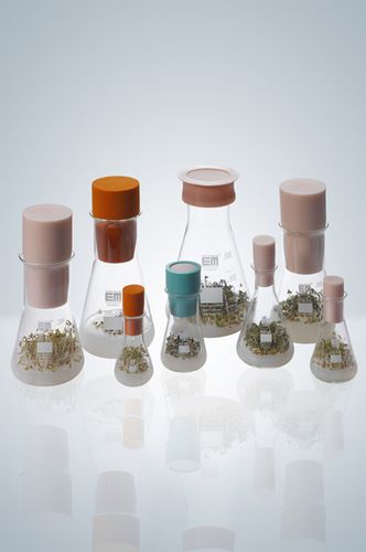 Bouchon conique - SILICOSEN® series - Hirschmann Laborgeräte GmbH & Co. KG - mâle / en silicone