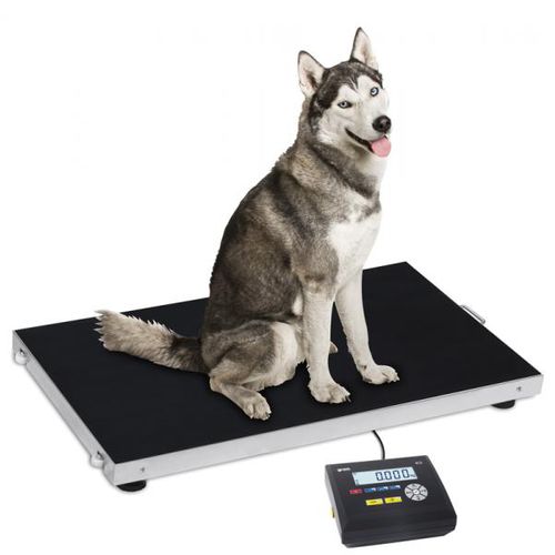 Balance pour animaux - Gram Core Pluto - Gram Group - à plate-forme / compteuse / électronique