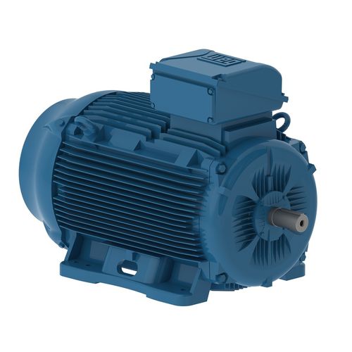 Moteur AC - W22  - WEG Gear Systems GmbH - triphasé / 380V / 400V