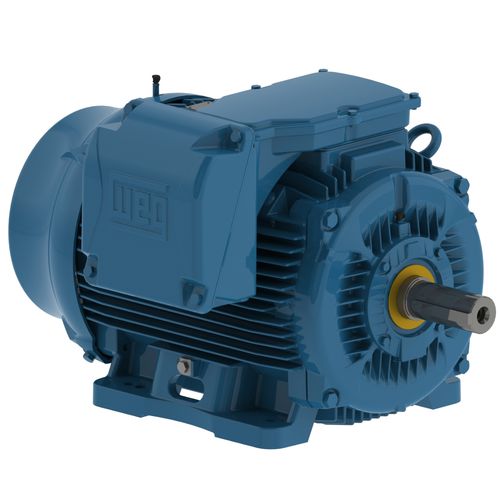 Moteur triphasé - W22  - WEG Gear Systems GmbH - 460 V / en fonte / à carcasse en fonte