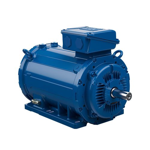 Moteur triphasé - W22  - WEG Gear Systems GmbH - 690 V / en fonte / petit