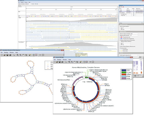 Logiciel de visualisation - Bioinformatics Toolbox™ - The MathWorks - d'analyse / pour spectrométrie de masse