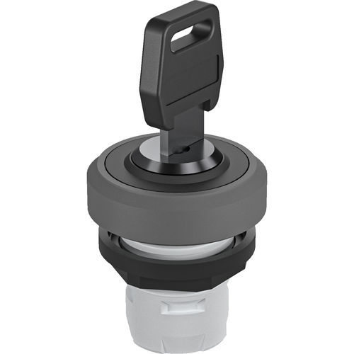 Bouton poussoir à clé - OKTRON®-R RKSSA12 - Georg Schlegel GmbH & Co. KG - non lumineux / rond