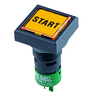 Bouton poussoir IP65 - QUARTRON® QXDI - Georg Schlegel GmbH & Co. KG - 1NO / DC / AC