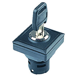 Commutateur à clé - OKTRON®-JUWEL OKJSSA12 - Georg Schlegel GmbH & Co. KG - IP65 / monté sur panneaux / non lumineux