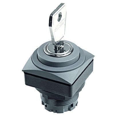Commutateur à clé - QUARTEX®-R-JUWEL QRJSSA12E - Georg Schlegel GmbH & Co. KG - IP65 / monté sur panneaux / non lumineux