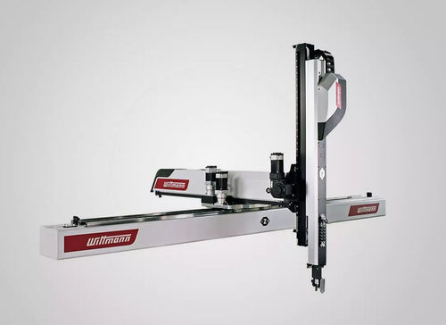Robot cartésien - Primus series - WITTMANN - 3 axes