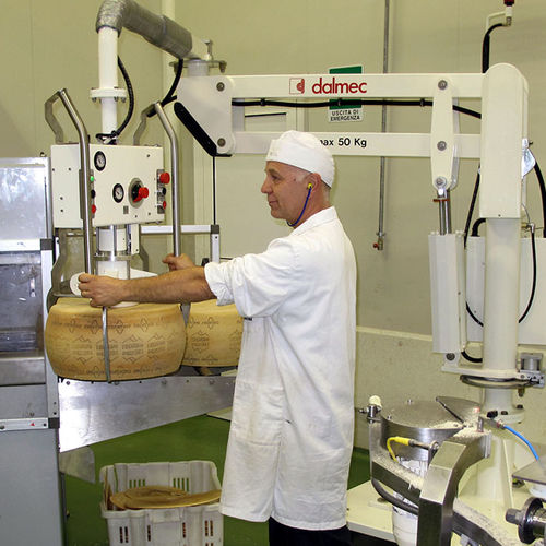 Manipulateur de fromage - Partner - DALMEC - pneumatique / à ventouse / de manutention