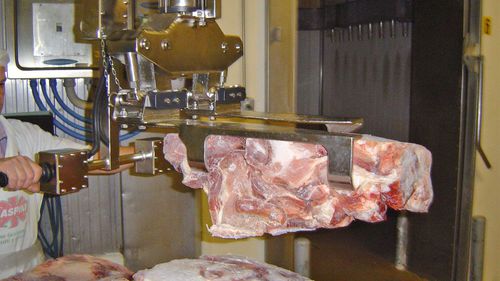 Manipulateur pneumatique - DALMEC - avec prise / de manutention / pour viande