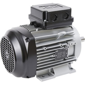 Moteur basse tension - ATB - à induction / triphasé / 80 V