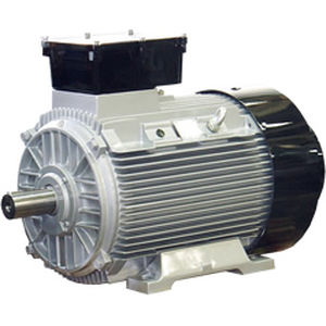 Moteur synchrone - ATB - AC / à cage d'écureuil / IP67