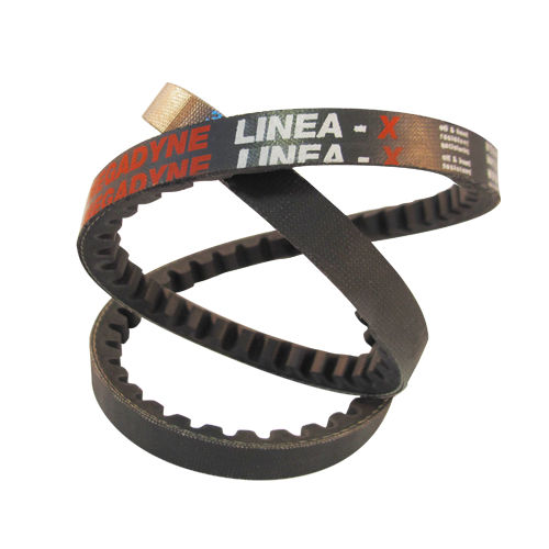 Courroie en V - LINEA X - MEGADYNE - en caoutchouc / pour produits alimentaires / pour emballage