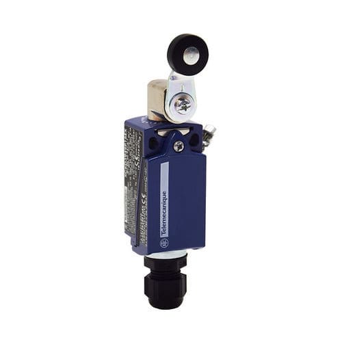 Contact fin de course rotatif - XCKD3918P16EX - Telemecanique Sensors - IEC / standard / ATEX