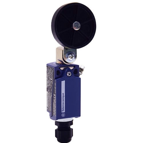 Contact fin de course rotatif - XCKD3939P16EX - Telemecanique Sensors - IEC / standard / ATEX