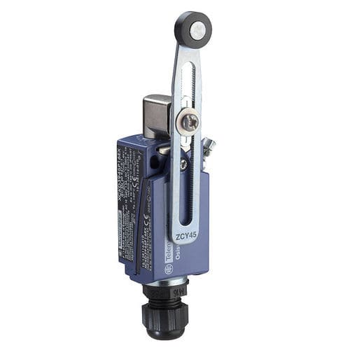 Contact fin de course rotatif - XCKD3945P16EX - Telemecanique Sensors - IEC / standard / ATEX
