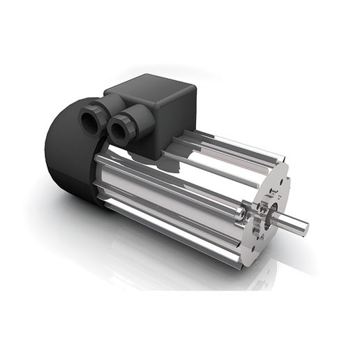 Moteur AC - DR 62.0x80-2 - Dunkermotoren GmbH - triphasé / 400V / 2 pôles