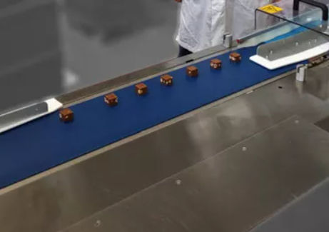 Courroie plate - Dectyl - AMMERAAL BELTECH - en polyuréthane / en thermoplastique / de produits alimentaires