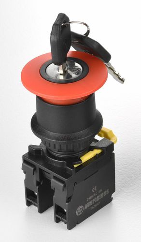 Interrupteur à clé - A2EKS series - Auspicious Electrical Engineering Co., Ltd. - unipolaire / IP65 / fermé