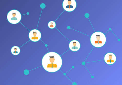 Logiciel de gestion - InfoSphere® Identity Insight - IBM - d'analyse / d'interface / serveur