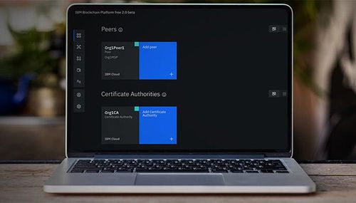 Logiciel de gestion - Support for Hyperledger Fabric - IBM - de développement / de test / de réseau