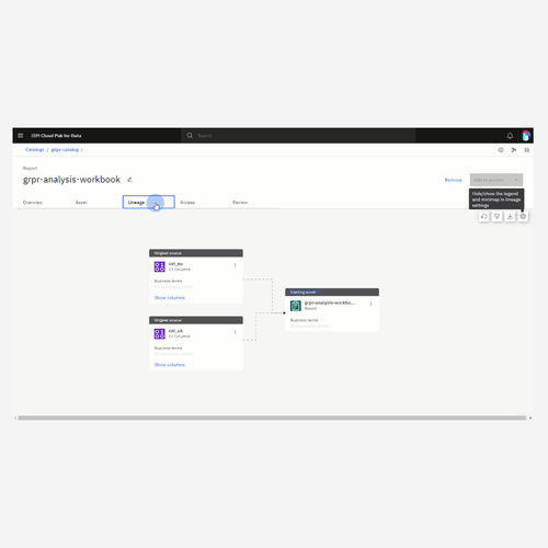 Logiciel d'analyse - Data governance - IBM - de supervision / de qualité / d'automatisation