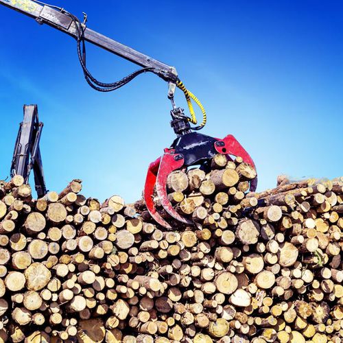 Système de pesage embarqué - TAMTRON TIMBER - Tamtron