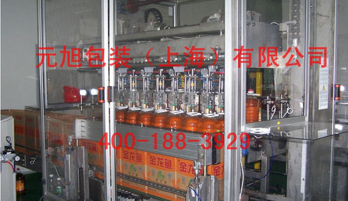 Encaisseuse type pick and place - Yuanxu Packing(shanghai) Machinery Co., LTD - à chargement par le haut / automatique / pour bouteilles
