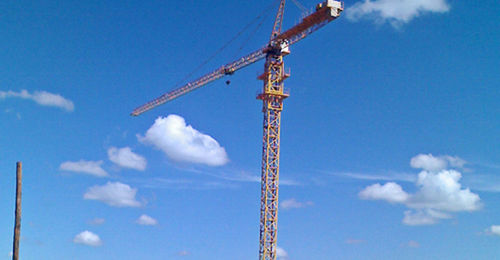 Grue à tour - TC6013-F-45.5 - Hangzhou Truemax Machinery & Equipment Cp.,Ltd - fixe / pour chantier