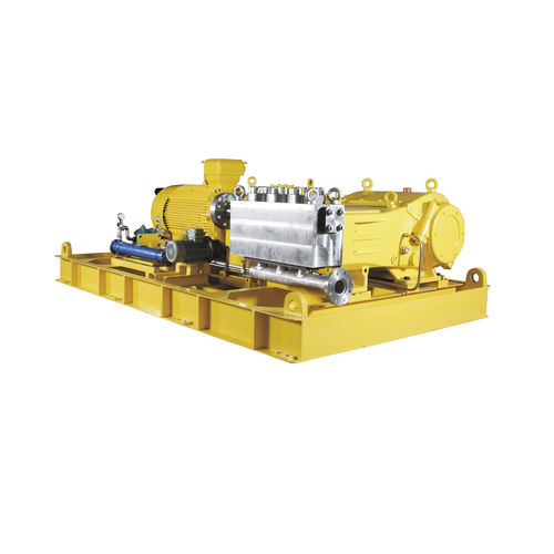 Pompe alternative - Poweroyal® - Milton Roy - à eau / pour produits chimiques / électrique