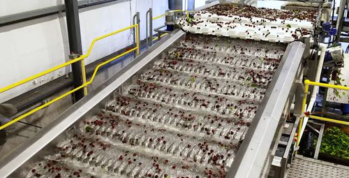 Système de convoyage pour l'industrie agroalimentaire - Tomra