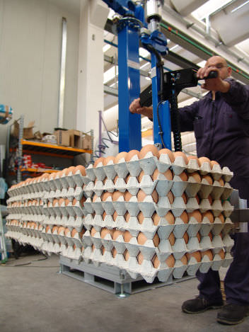 Manipulateur mécanique - FAMATEC - de chargement / pour l'industrie agroalimentaire